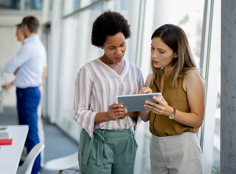 Contract Metadata Header Banner